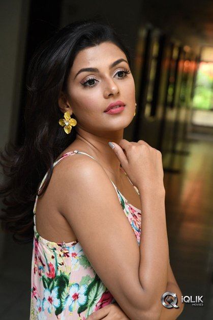 Anisha-Ambrose-At-Fashion-Designer-Movie-Success-Meet